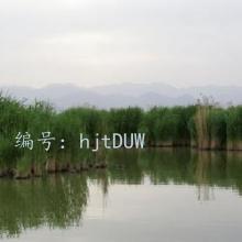 Ŀ