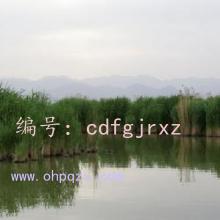 Ȼ