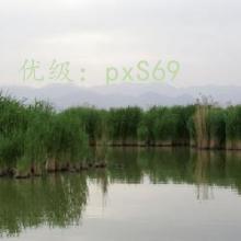 ĭ