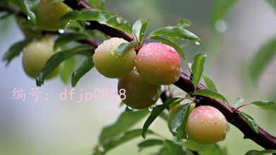 ĭ